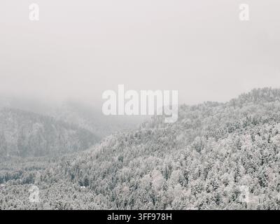 Schneebedeckte Kiefern auf Hügeln in einem nebligen Winterwald. Bewölktes, nebliges Wetter, weiße Berglandschaft als Hintergrund mit Platz für Text. Perfekt für Reiseblog, saisonales Design oder Winter-Banner Stockfoto