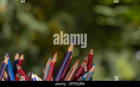Verschiedene farbige Bleistifte erheben sich aus dem unteren Rahmen vor weichem grünem Bokeh und lassen reichlich Kopierraum für Schul-, Kunst- und kreative Bildungsdesigns Stockfoto