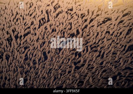 Verschnörkelte Frostmuster erzeugen eine abstrakte natürliche Textur auf einer Glasfenster, beleuchtet von einem warmen goldenen Licht während eines kalten Wintermorgens, symbolisierend Veränderung und Widerstandsfähigkeit Stockfoto