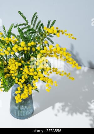 Strauß gelber Mimose oder Akazie in einer Vase auf blauem und weißem Hintergrund mit Sonnenlicht. Frühlingsurlaubskonzept, Geschenkkarte mit Blumen für die Mutter Stockfoto
