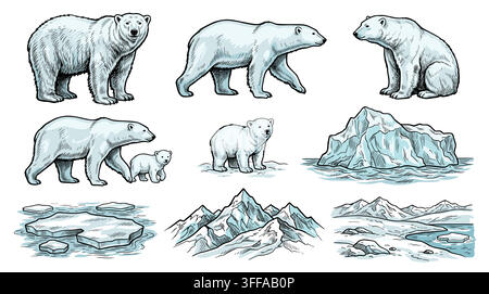 Eine Sammlung von Eisbären-Illustrationen mit Eisbergen und arktischen Landschaftselementen. . Stock Vektor