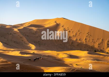 Touristen wandern entlang der Sanddünen in Erg Chebbi nahe Merzouga während des Sonnenuntergangs. Der warme Sand erstreckt sich unter einem klaren Himmel. Menschen genießen die weite Wüstenlandschaft. Stockfoto