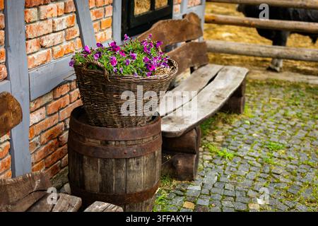 Ein Weidenkorb mit lila Blumen steht auf einem verwitterten Fass neben Holzbank und Ziegelwand entlang eines Kopfsteinpflasterwegs und verleiht Farbe und Rustikalität Stockfoto