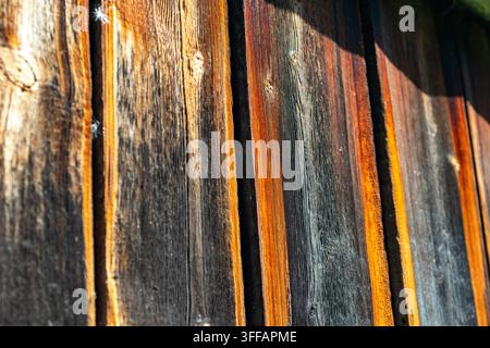 Verwitterte Holzwandplatten fangen geneigtes Sonnenlicht ein und zeigen warme orangefarbene Streifen und dunklere Maserungslinien, rustikale Textur und Altersspuren schaffen einen natürlichen Hintergrund Stockfoto