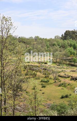 Grüne Landschaft des Sierra de Francia Gebirges in der Provinz Salamanca, Kastilien und León, Spanien Stockfoto