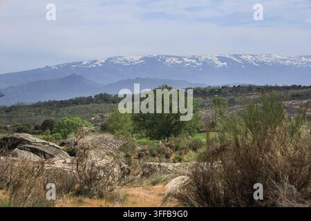 Grüne Landschaft und schneebedeckter Gipfel des Sierra de Francia Gebirges in der Provinz Salamanca, Kastilien und León, Spanien Stockfoto