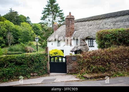 Higher Cottage, ein malerisches traditionelles Strohdachhaus, umgeben von Grün in ländlichem Devon, England, UK. Stockfoto