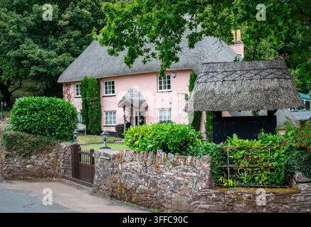 Bildschönes rosa Strohdachhaus mit traditioneller Veranda, Steinmauer im Garten und alten Bäumen im ländlichen Devon, England, UK. Stockfoto