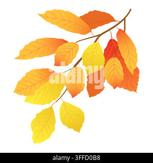 Ein Herbst-Ahorngast isoliert auf einem Hintergrund. Es ist Herbstzeit. Orange und gelbe Ahornblätter fallen im Frühherbst. Vektorillustration. Illustration für saisonale Rabatte und Angebote. Stock Vektor
