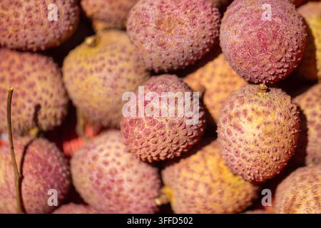Ein extrem nah aufgenommenes Foto, das einen dichten Haufen frischer, reifer Litschifrüchte mit bumpiger, rosa-violetter Schale einfängt. Stockfoto