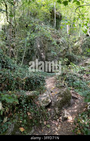 Ein schmaler felsiger Wanderweg verläuft zwischen moosbedeckten Kalksteinformationen und dichter Waldvegetation im Naturreservat Furfooz in Wallonien, Belgien Stockfoto