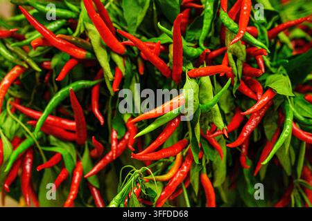 Rote und grüne Chilischoten sind abends auf einem Markt zusammen in einem Bündel angeordnet. Die Schoten sind frisch und lebhaft und ziehen Aufmerksamkeit auf sich. Stockfoto
