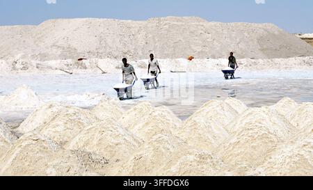 Drei Salzarbeiter transportieren weißes Salz mit der Schubkarre durch die Danakil-Senke in der Afar-Region Äthiopiens. Stockfoto