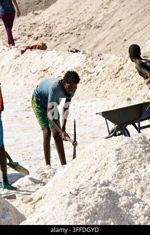 Arbeiter schaufeln und sammeln Salz in der Danakil-Senke der Afar-Region in Äthiopien, wobei sie Handwerkzeuge und Schubkarren in einer rauen Wüstenlandschaft verwenden. Stockfoto