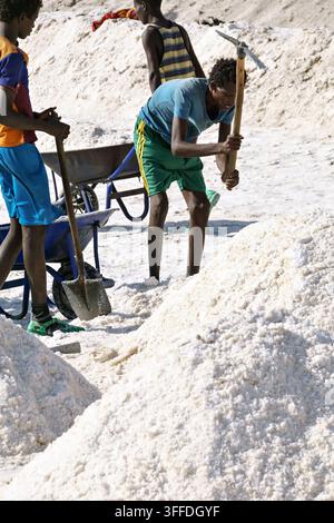 Arbeiter ernten manuell Salz in der Danakil-Senke, Afar, Äthiopien, mit Schaufeln, Spitzhacken und Schubkarren. Stockfoto