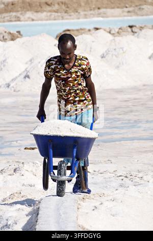 Ein Salzbergmann schiebt eine Schubkarre, die mit Salz beladen ist, durch die Danakil-Senke in Afar, Äthiopien. Stockfoto