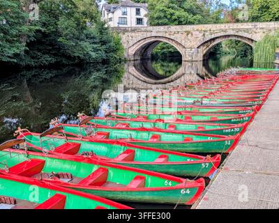 rote und grüne Boote, die am Ufer in Knaresborough aufgereiht sind Stockfoto