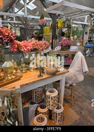 Gemütliches Interieur eines Blumenladens mit Holztischen, rosa Hortensien in Glasvasen und bezaubernden rustikalen Dekogegenständen Stockfoto
