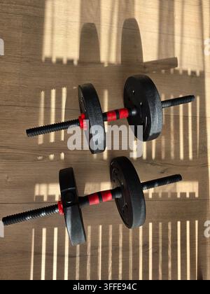 Schwarze verstellbare Hanteln mit roten Manschetten und Gewichtsplatten auf Holzfußboden für das Krafttraining im Heimfitnessstudio Stockfoto