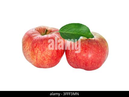 Rote Äpfel mit einem grünen Blatt isoliert auf weißem Hintergrund. Apfel-Frucht und Blatt mit Ausschnittspfad. Stockfoto