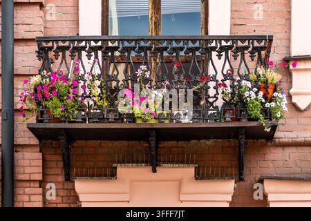 Aufwendiger schwarzer schmiedeeiserner Balkon, gefüllt mit farbenfrohen blühenden Petunien, steht an einer rustikalen roten Backsteinmauer in hellem Sonnenlicht. Detailreich Stockfoto