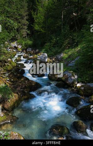 Klarer türkiser Gebirgsbach fließt durch moosbedeckte Felsen im üppigen grünen Wald von Waldbachstrub, Oberösterreich. Stockfoto