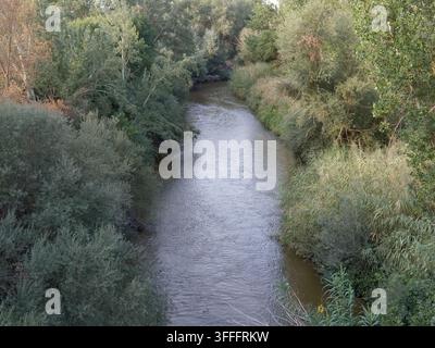 Ein Fluss windet sich durch ein üppiges Gebiet, das mit verschiedenen Bäumen und Pflanzen gefüllt ist. Das Wasser fließt stetig in einer natürlichen Umgebung. Die Szene fängt den Tag ein Stockfoto