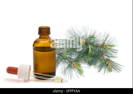 Arve (Pinus cembra) Kräuterextrakt in einer Glas-Tropfflasche isoliert auf weißem Hintergrund, stellvertretend für natürliche botanische Heilmittel, Wellness, Stockfoto