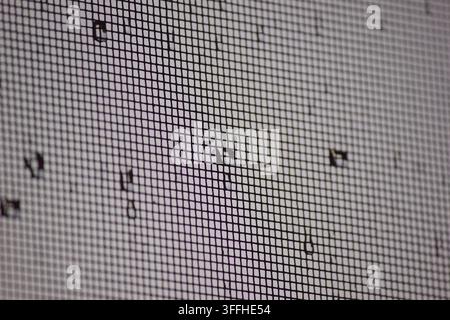 Makroaufnahme der Fenstergittertextur mit verstreuten Wassertropfen Stockfoto