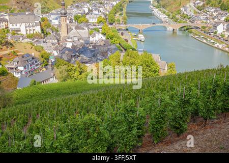 Pittoreske Luftaufnahme über steile, terrassierte Weinberge von Cochem, Deutschland, mit Blick auf das Moseltal, eine alte Brücke und das charmante Altstadtdorf Stockfoto