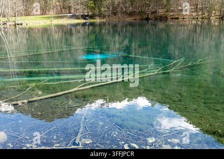Kristallklares türkisfarbenes Wasser des Bergsees Christlessee mit versunkenen Baumstämmen nahe Oberstdorf, Bayern, Deutschland, Frühjahr 2024 Stockfoto