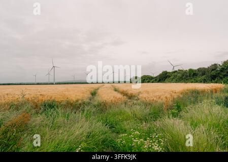 Little Cheyne Court Wind Farm auf Romney Marsh, Kent, England, UK - 9. September 2026. Hochwertiges Foto Stockfoto