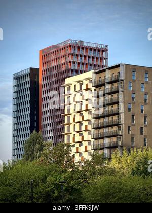Vertikalfoto von modernen Hochhaus-Büro- und Wohnhochhäusern, die über grüne Bäume in Vilnius, Litauen, aufragen Stockfoto