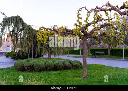 Eine ruhige Parkszene mit kunstvoll geformten Bäumen, üppigen grünen Rasenflächen und sauber geschnittenen Hecken, perfekt für die Entspannung im Freien. Sameba Stockfoto