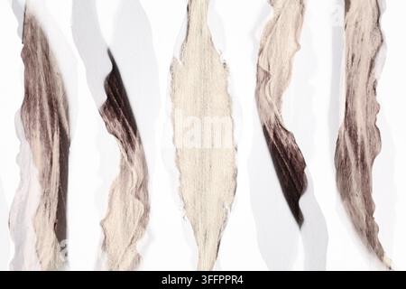 Minimales getrocknetes Blattarrangement auf einem sauberen weißen Hintergrund, mit verlängerten natürlichen Formen, weichen neutralen Tönen und zarter organischer Textur für Bo Stockfoto