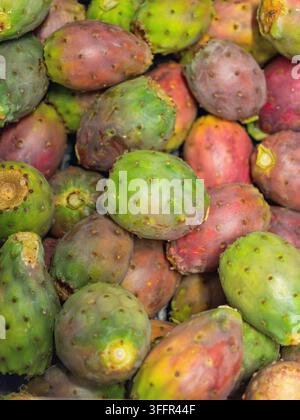 Frisches buntes Muster aus Opuntia-Früchten, Kaktusfeigen, als Vollbild-Hintergrund mit roten, rosa und grünen Tönen Stockfoto