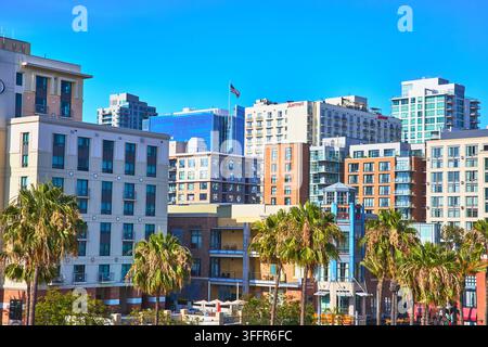 Palmen säumen die belebten Straßen der Innenstadt von San Diego, Kalifornien, während moderne Hochhäuser sich gegen einen strahlend blauen Himmel erheben. Die lebendige Stadtlandschaft Stockfoto