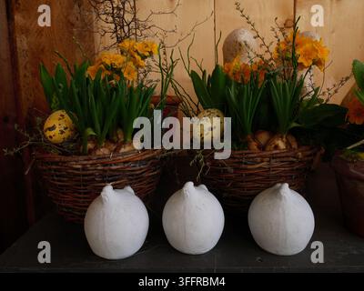 Blumenarrangements mit gelben Blumen und dekorativen Eiern in Körben auf einem Holztisch Stockfoto