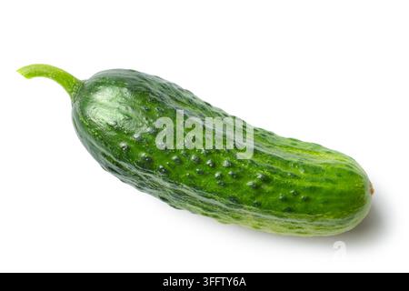 Frische natürliche Gurke auf weißem Hintergrund. Gurken-Gemüse isoliert mit Schatten. Stockfoto