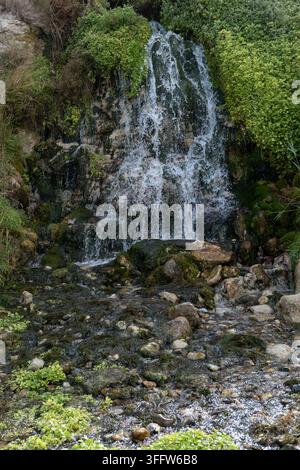 Frisches Quellwasser stürzt über dunkle, moosbewachsene Felsen, umgeben von grüner Küstenvegetation in der Nähe von Wissant an der Opalküste in Pas-de-Calais im Norden Frankreichs Stockfoto