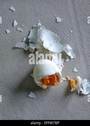 Ein hartgekochtes Ei wird aufgeschlagen und zeigt sein orangefarbenes Eigelb. Es liegt umgeben von einem Haufen seiner eigenen intakten Schalenstücke auf einem strukturierten grauen Stoff Stockfoto