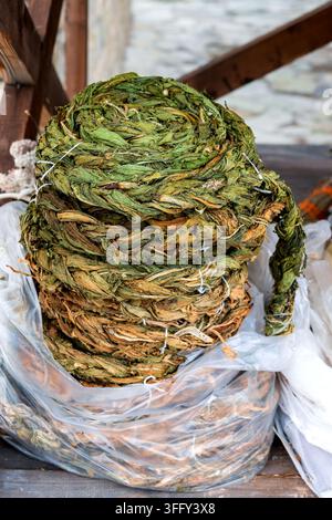 Bündel getrockneter Sauerampferblätter, geflochten und gebunden, in einer Plastiktüte ausgestellt. Traditioneller Kräutermarkt. Stockfoto