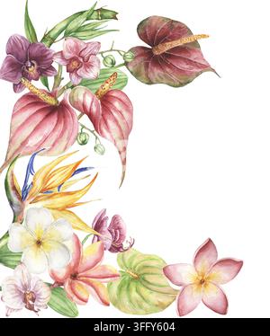 Aquarell weiße Plumeria, Orchideen, Strelitzia, Bambusblätter und Anthurium-Blumen-Eckborder-Illustration, handgezeichneter zarter Bambus mit Tropica Stockfoto