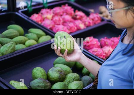 Frau wählt eine frische grüne Avocado in der Obst- und Gemüseabteilung eines Supermarkts mit Kästen von Avocados, Chayote-Kürbis und leuchtend pinkem Drachenfrucht Stockfoto