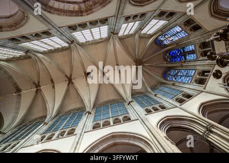 Ansicht der Decke einer gotischen historischen Kirche in Utrecht Stockfoto