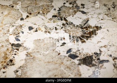 Kristalliner Granitstein mit dunklen Mineralinklusionen. Nahaufnahme von weißem und beigem kristallinem Stein mit dunklen Mineralfragmenten und natürlichem Stockfoto