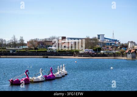 Rosa Flamingo- und weißer Schwan-Pedalboote treiben gemeinsam auf dem Southport Marine Lake. Southport, UK. Stockfoto