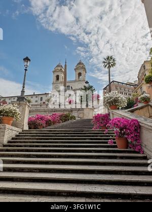 Spanische Treppe in Rom mit Azaleenblüten Stockfoto