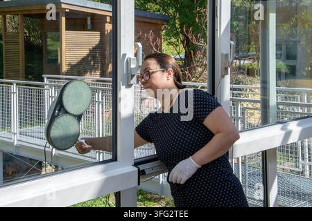 Eine Frau reinigt ein großes Glasfenster im Freien mit einem Fensterreinigungswerkzeug. Stockfoto