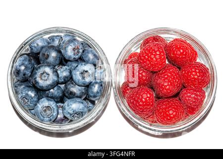 Top-Down-Flachlage von frischen Blaubeeren und Himbeeren in zwei runden Glasschüsseln, isoliert auf einem sauberen weißen Hintergrund mit dynamischem Kontrast. Stockfoto